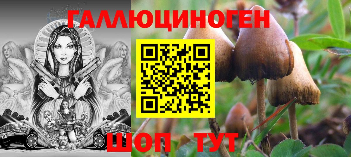 Псилоцибиновые грибы прущие грибы  Вход с VPN  Отрадное 